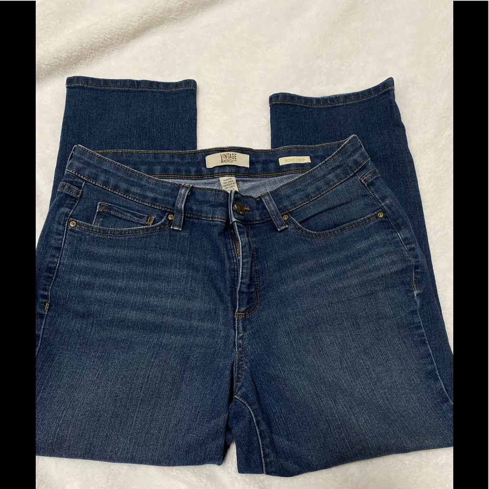 Vintage America Blues SZ 10/30